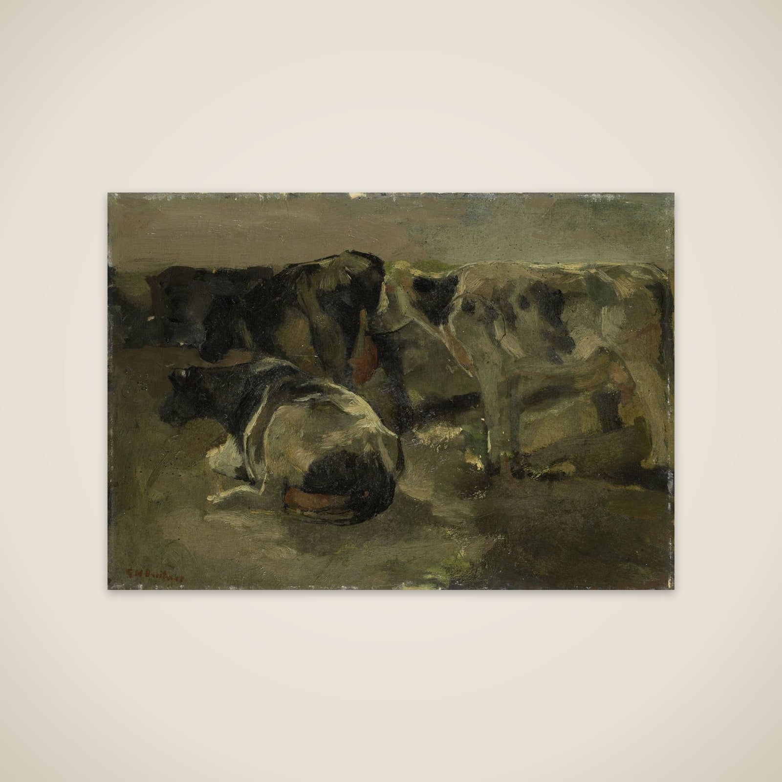 Four Cows unframed print