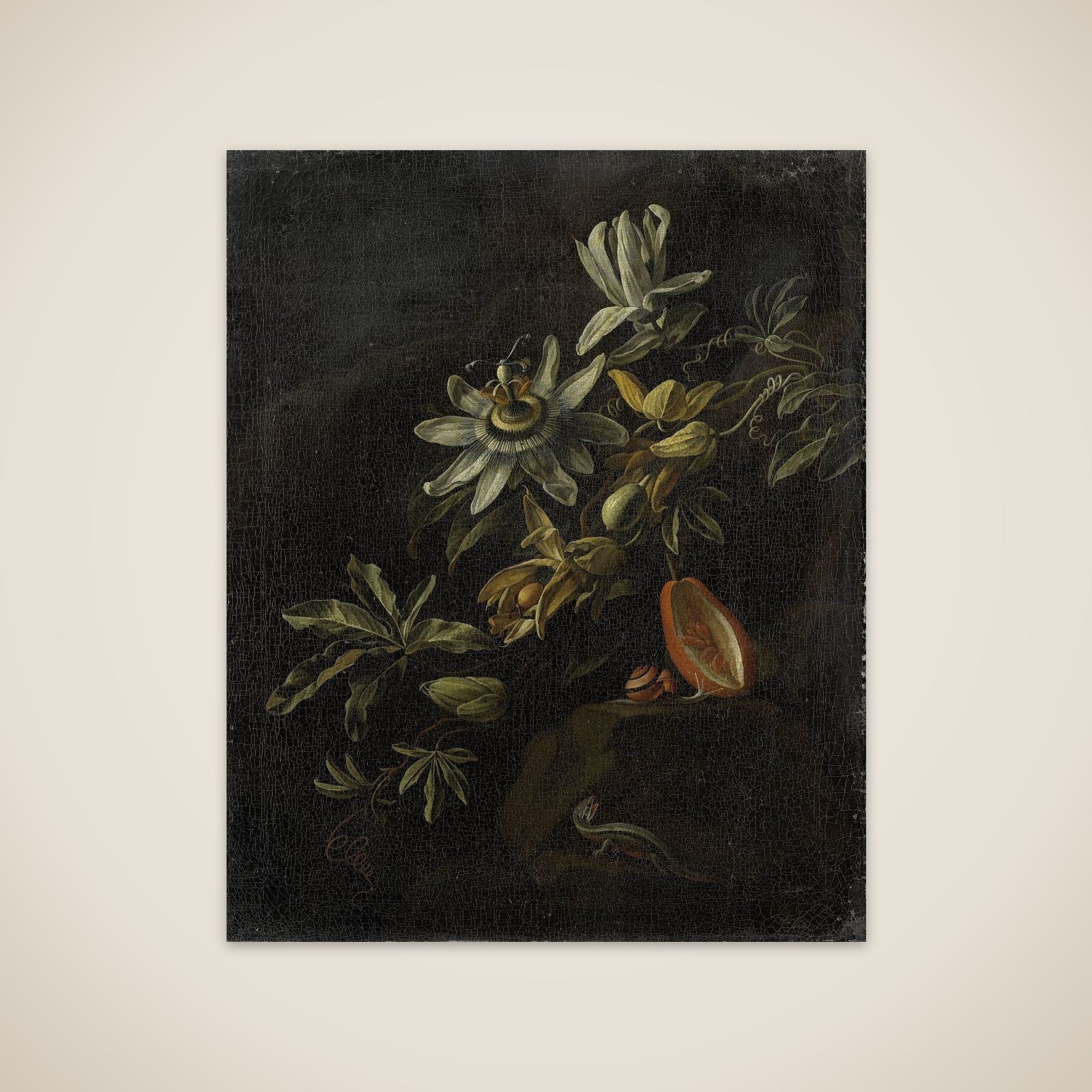 Still Life with Passionflowers unframed print