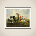 A rooster with Hens and Chicks framed