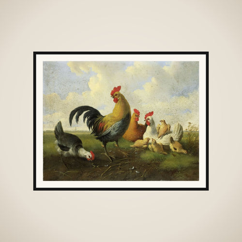 A rooster with Hens and Chicks framed