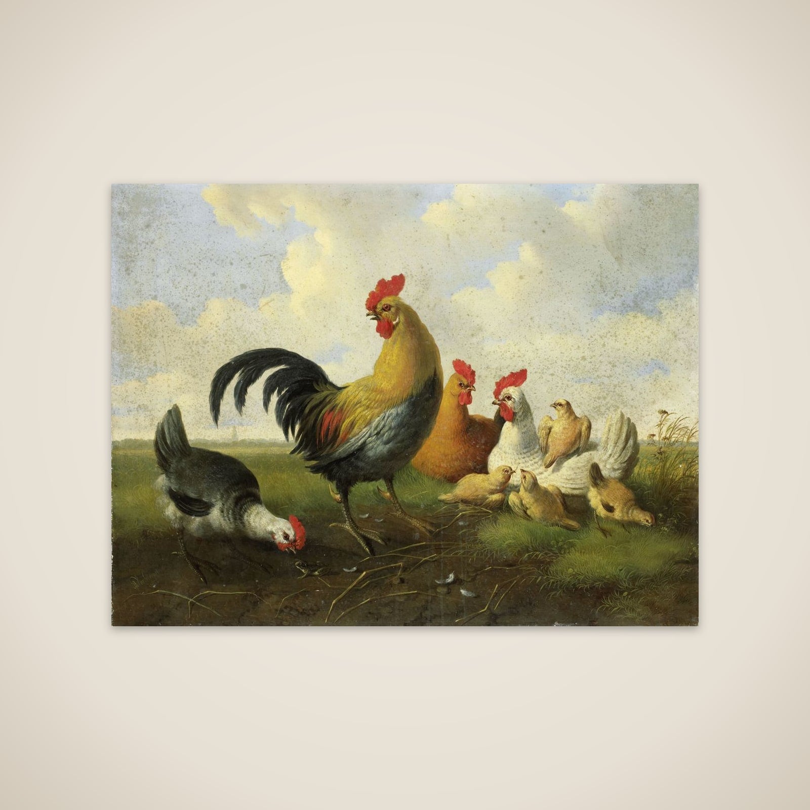 A rooster with Hens and Chicks unframed print