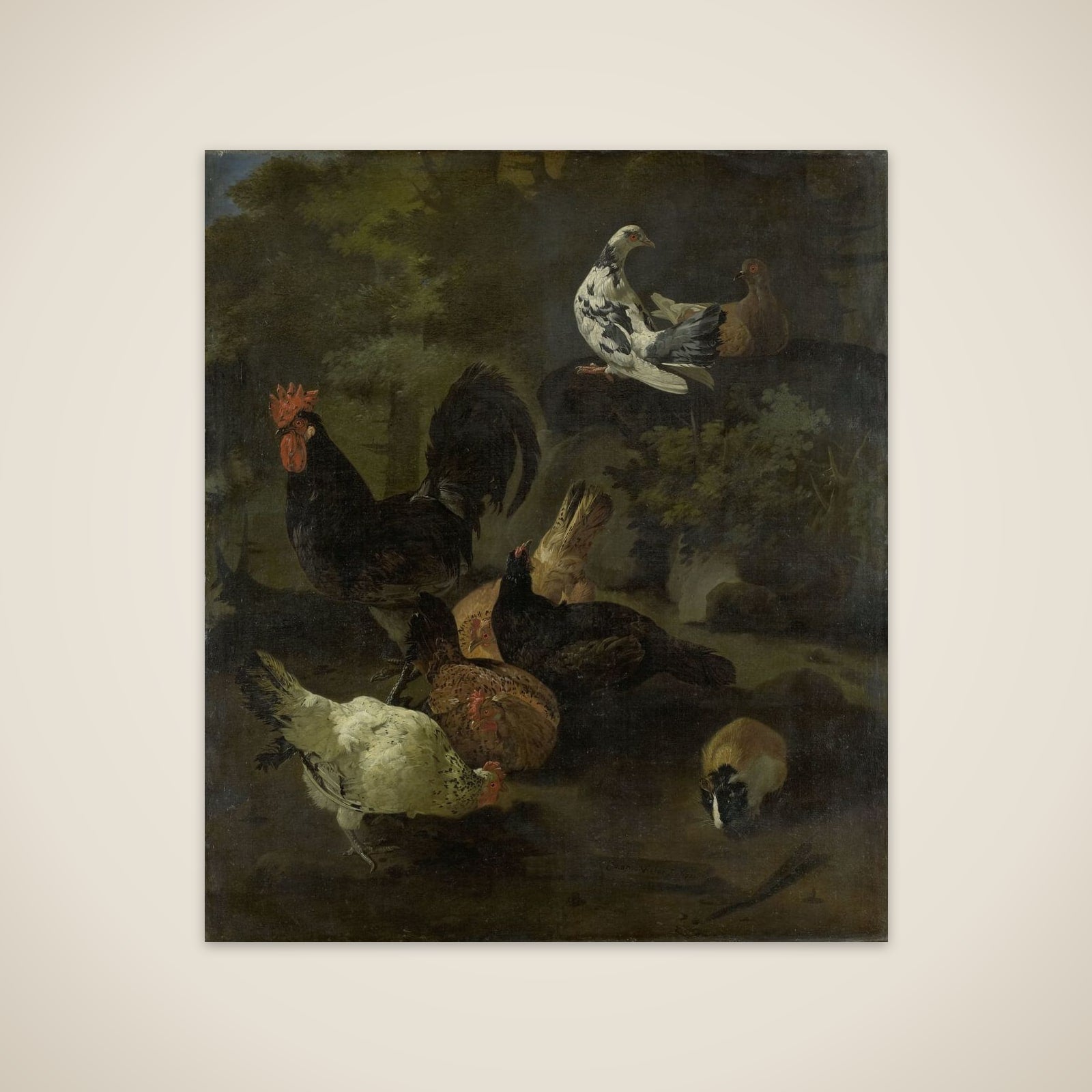 A Cock, Hens, Doves, and a Marmot unframed print