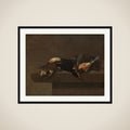 Dead Birds framed
