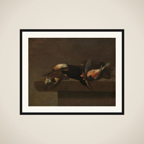 Dead Birds framed