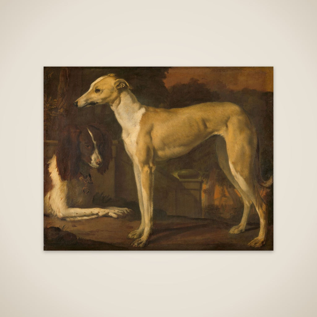 Portrait of a Greyhound and Spaniel unframed print