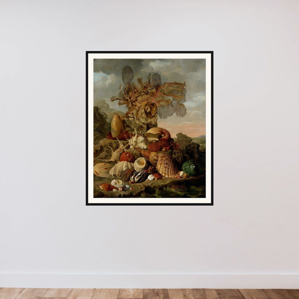 Shells and Marine Plants framed — shown to scale