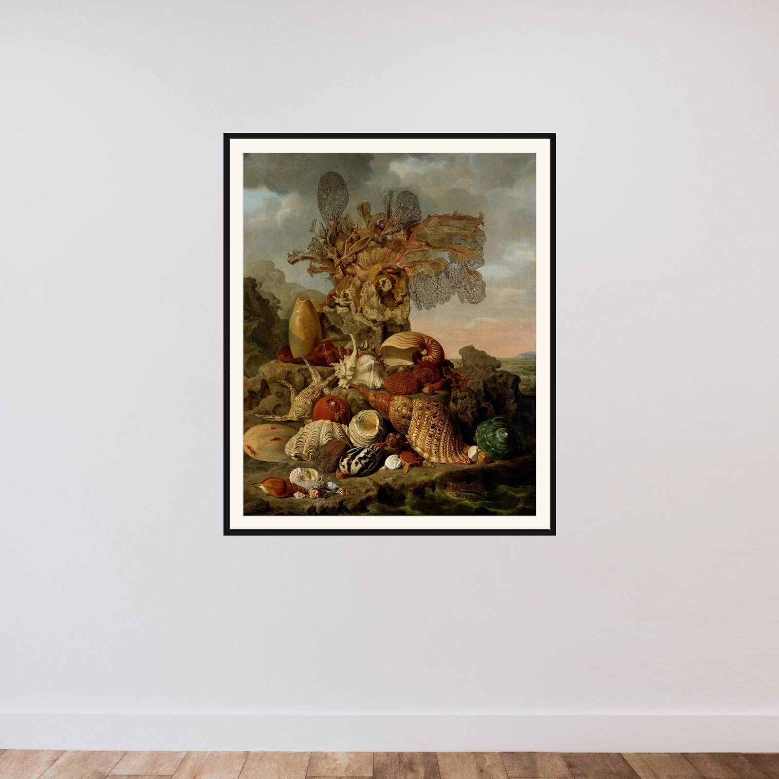 Shells and Marine Plants framed — shown to scale