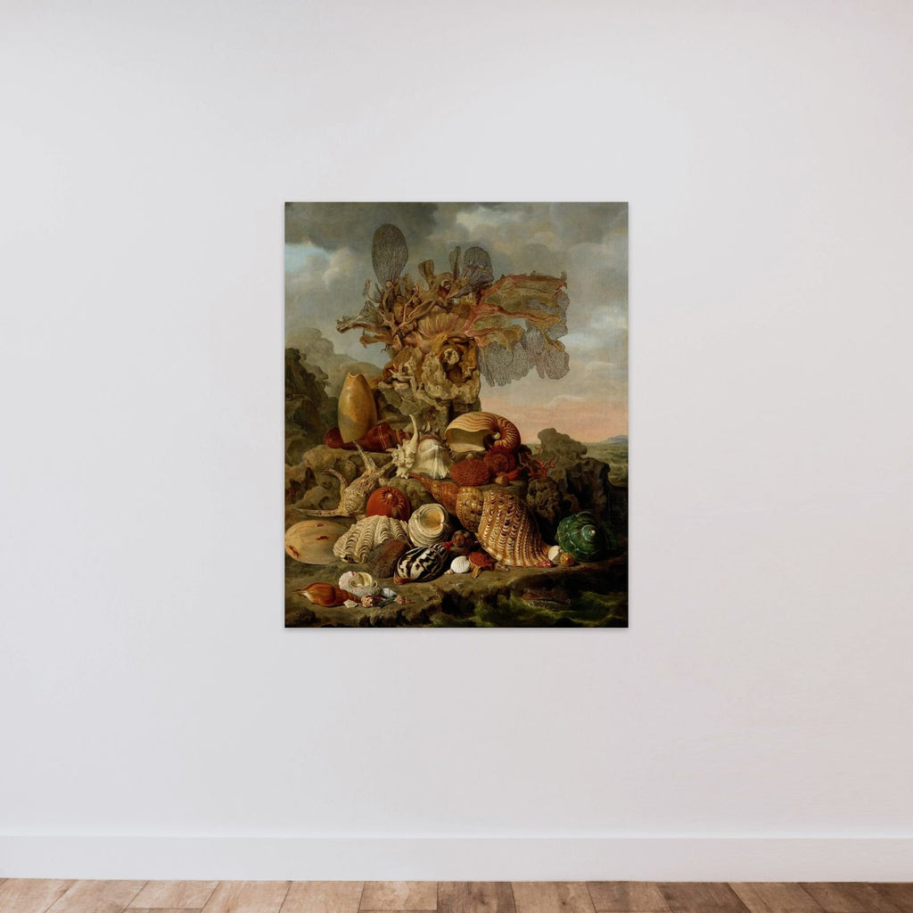 Shells and Marine Plants unframed — shown to scale