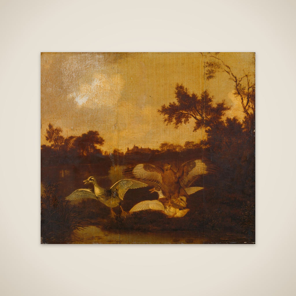 A Buzzard Attacking Two Ducks unframed print