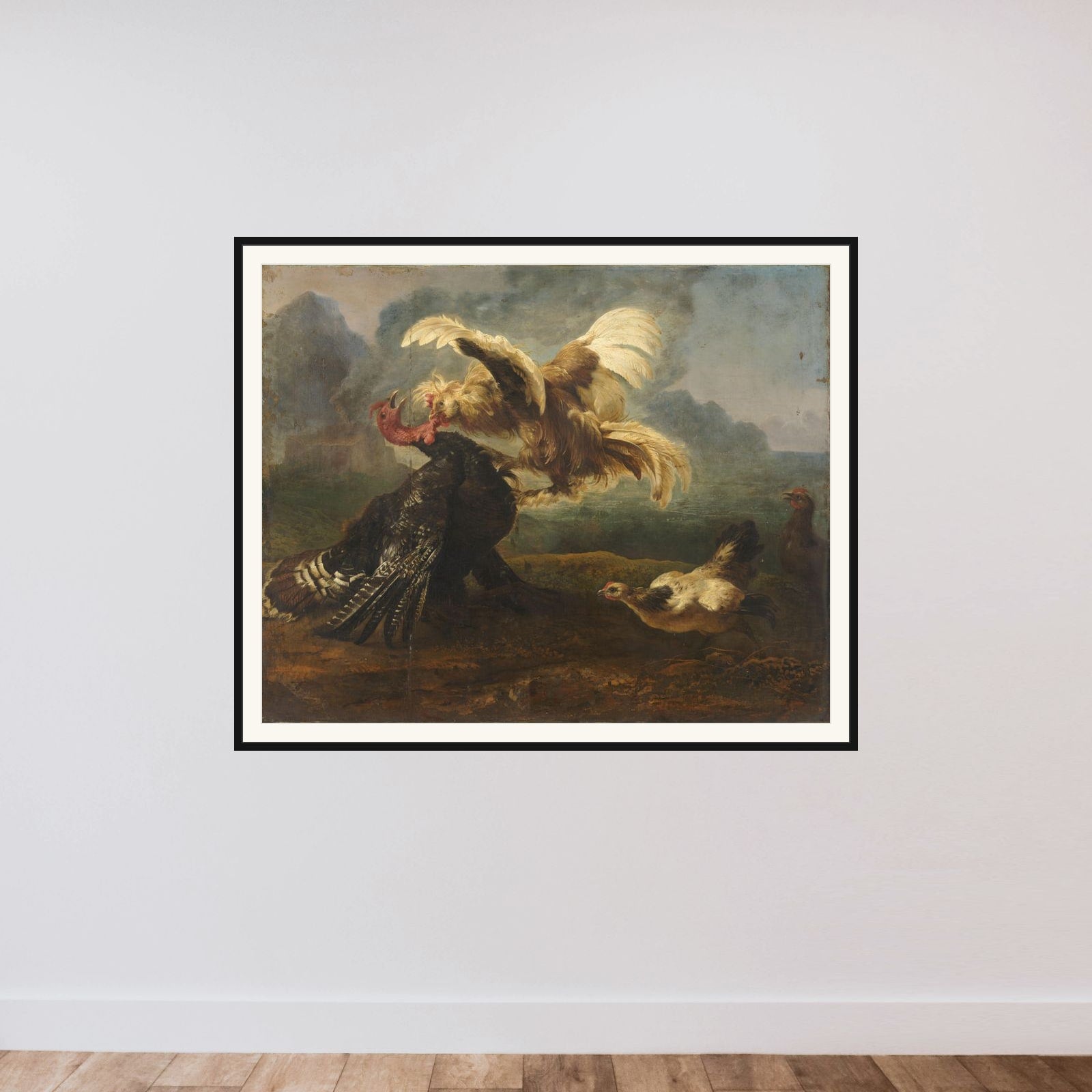 The Flemish Cock and the Turkish Cock framed — shown to scale