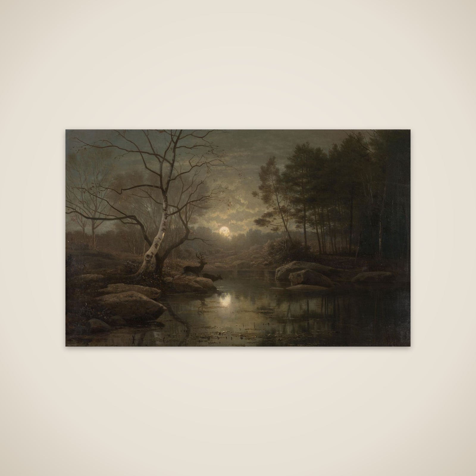 Forest Landscape in the Moonlight unframed print