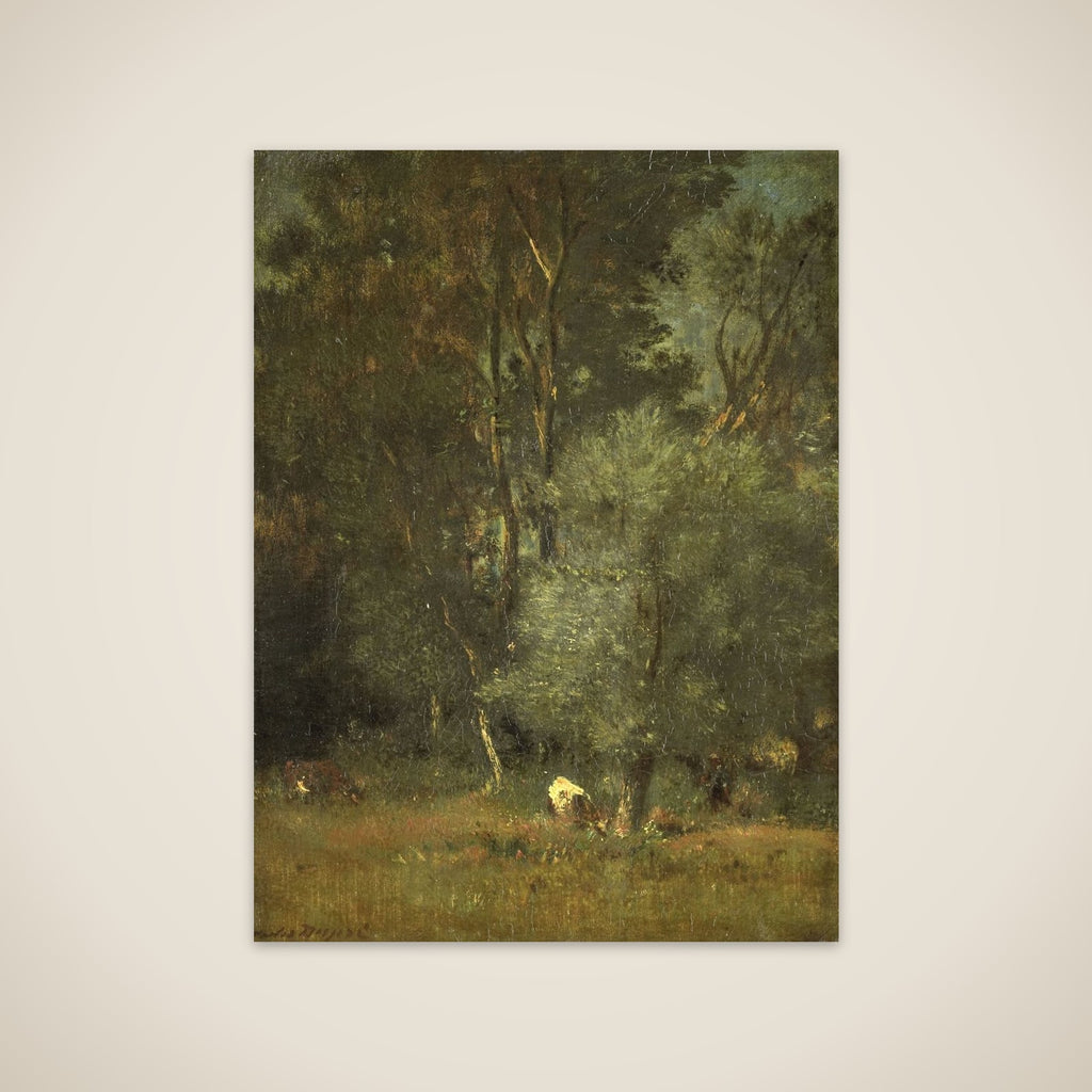 View in the Woods unframed print