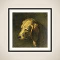 Head of a Dog framed