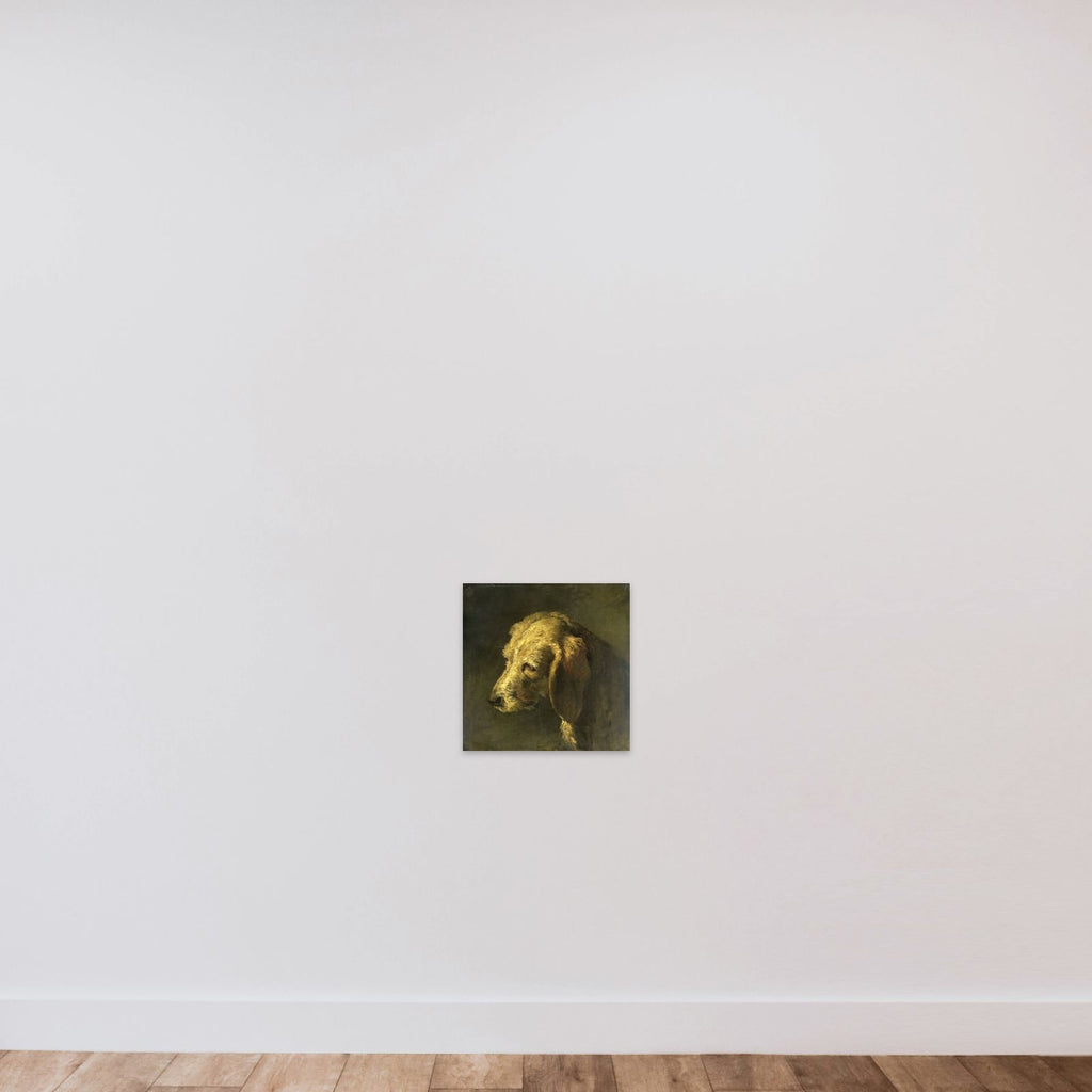 Head of a Dog unframed — shown to scale