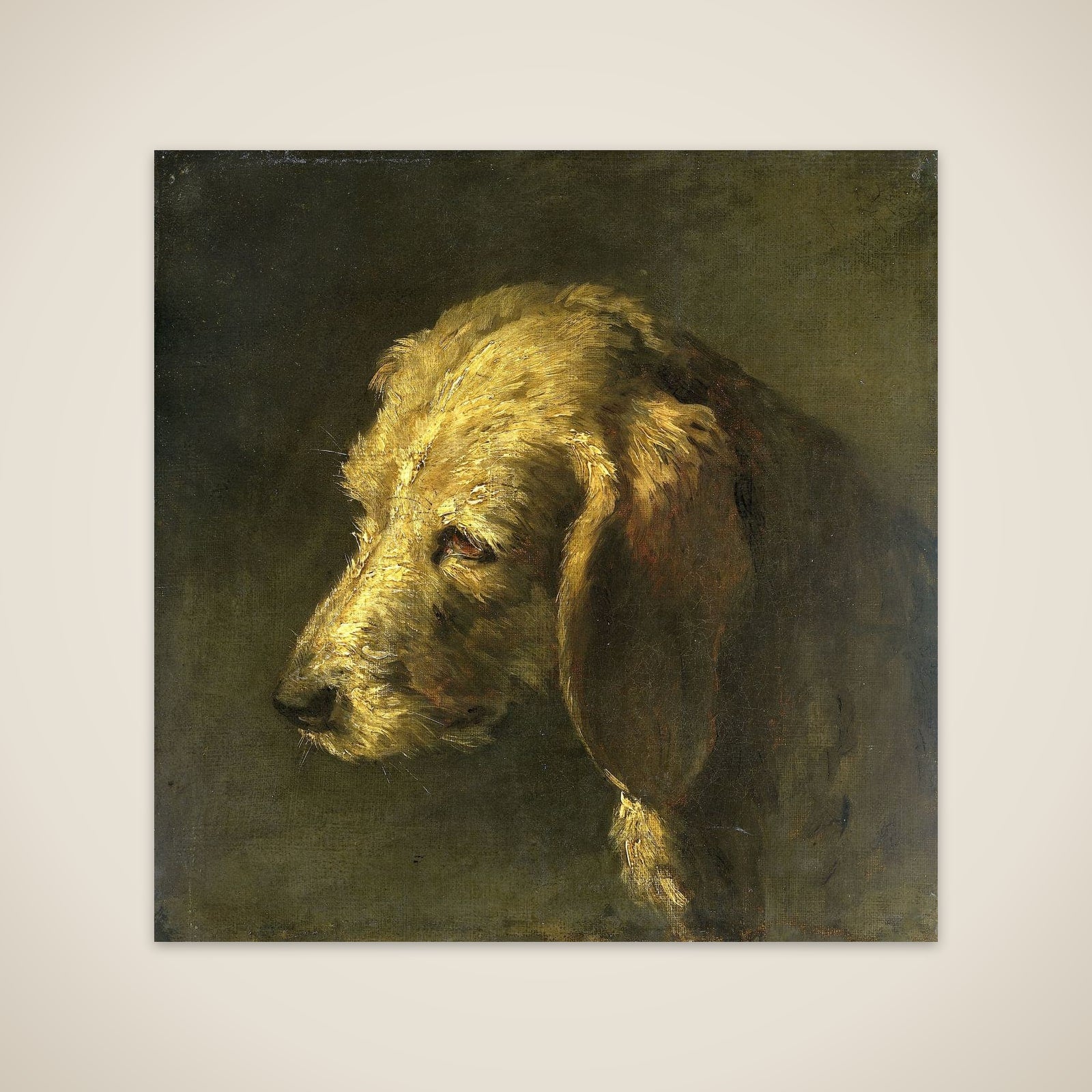 Head of a Dog unframed print