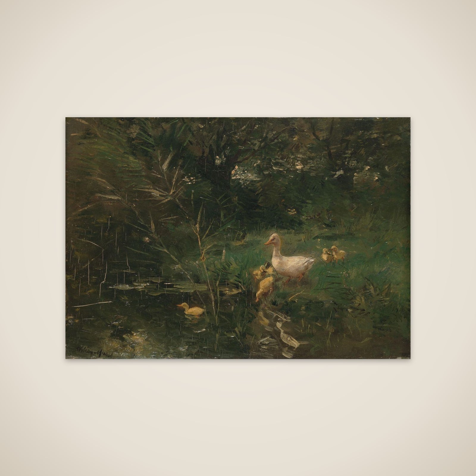 Ducks unframed print