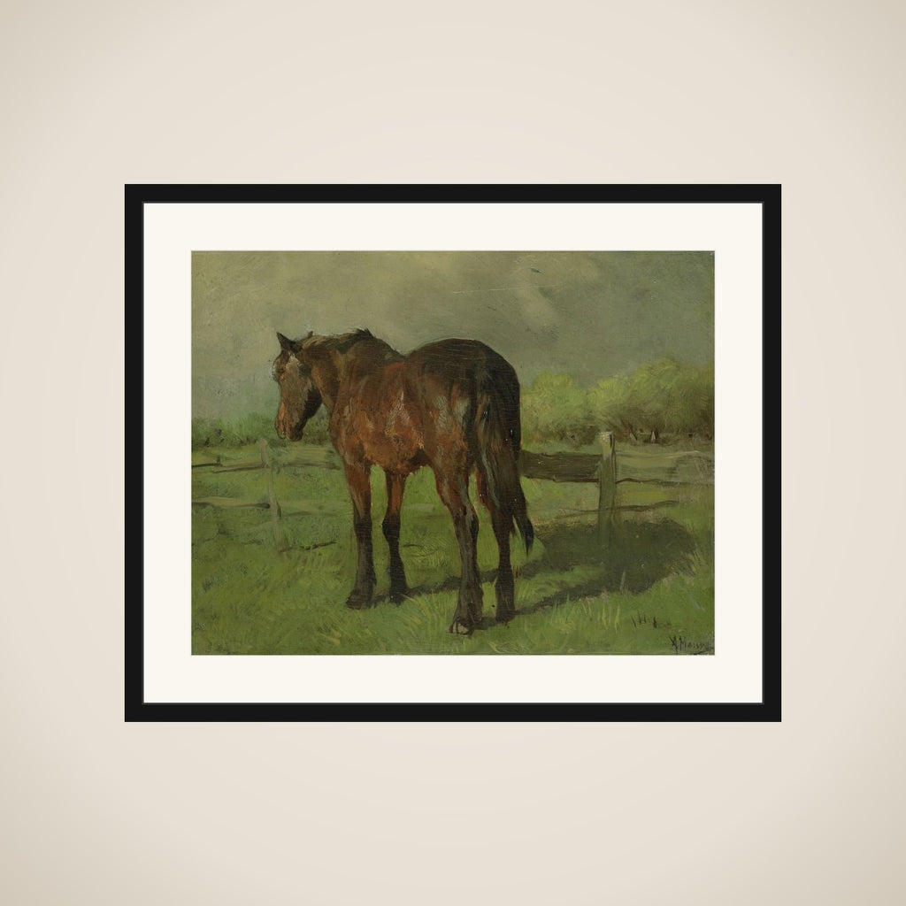 Paard framed
