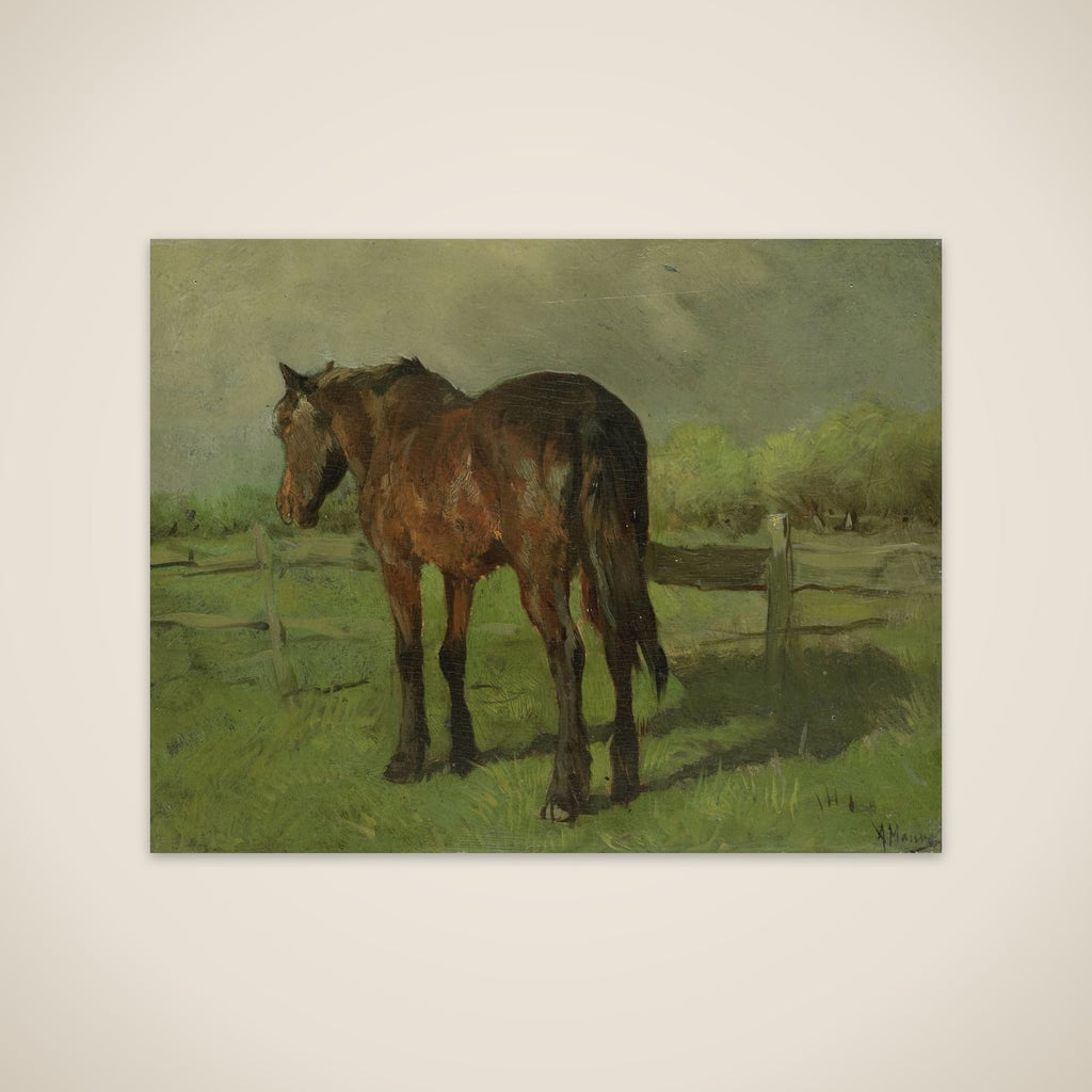 Paard unframed print