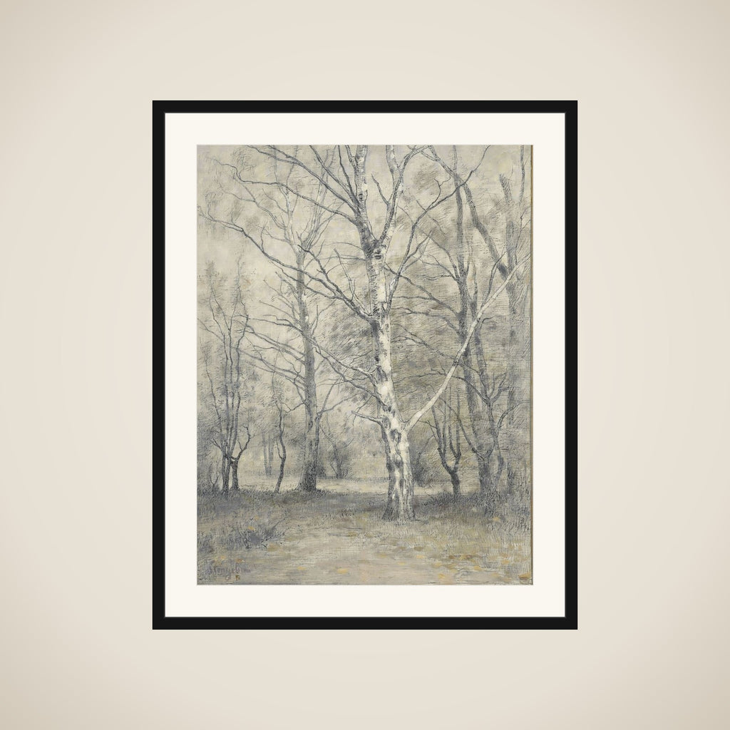 Bos met berkebomen framed