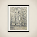 Bos met berkebomen framed