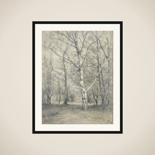 Bos met berkebomen framed
