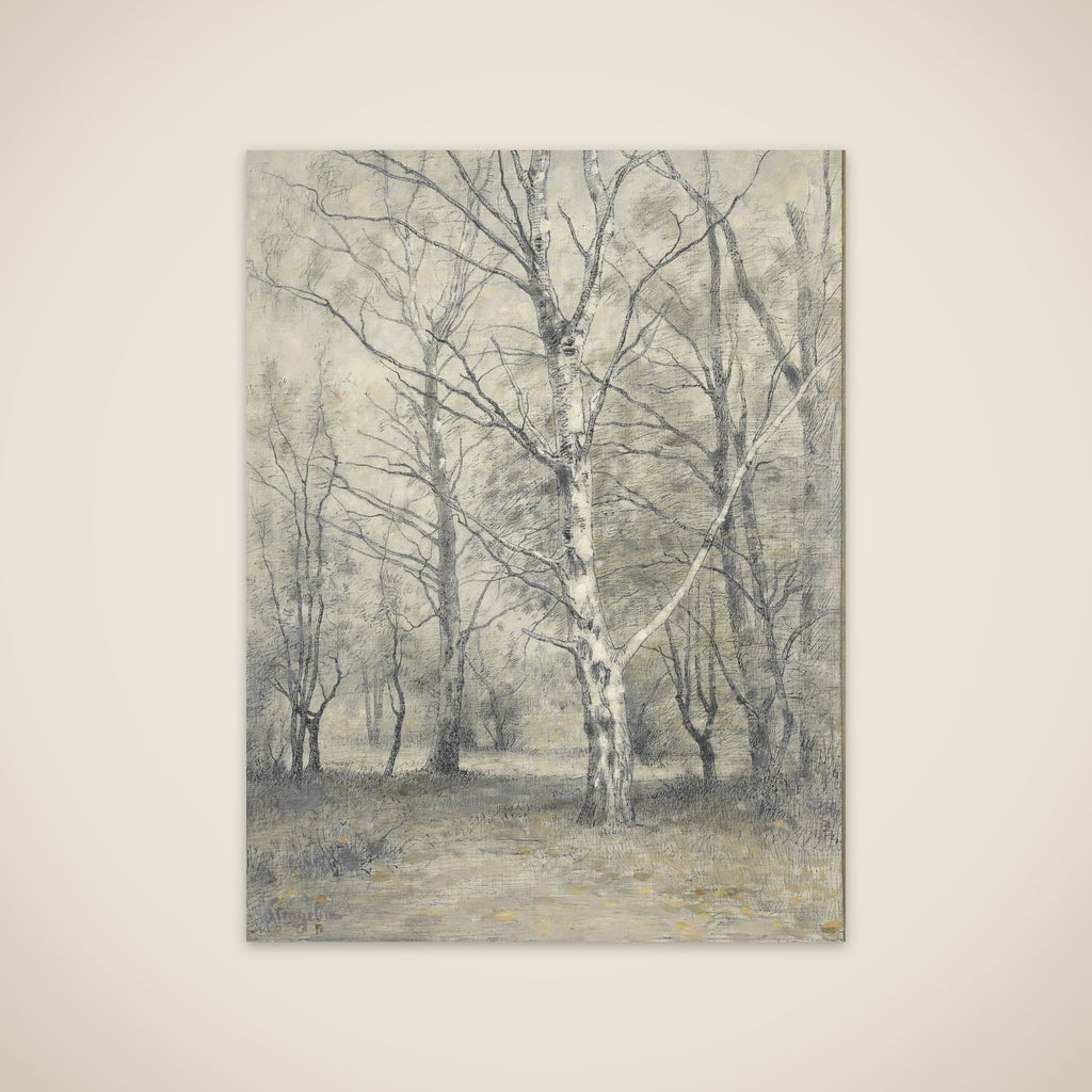 Bos met berkebomen unframed print