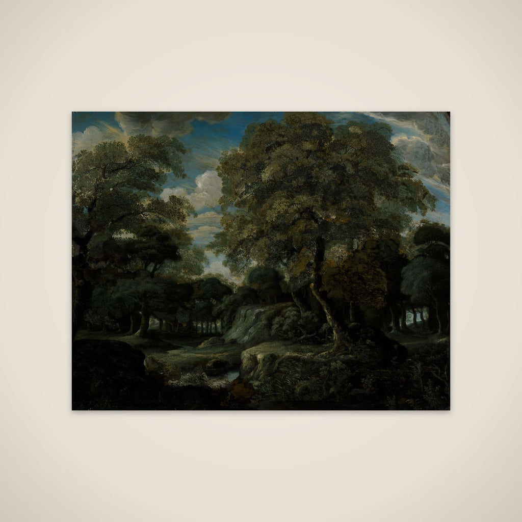 View in the Woods unframed print