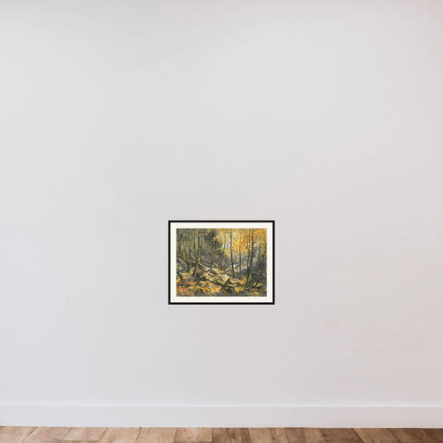'Felsenmeer' framed — shown to scale
