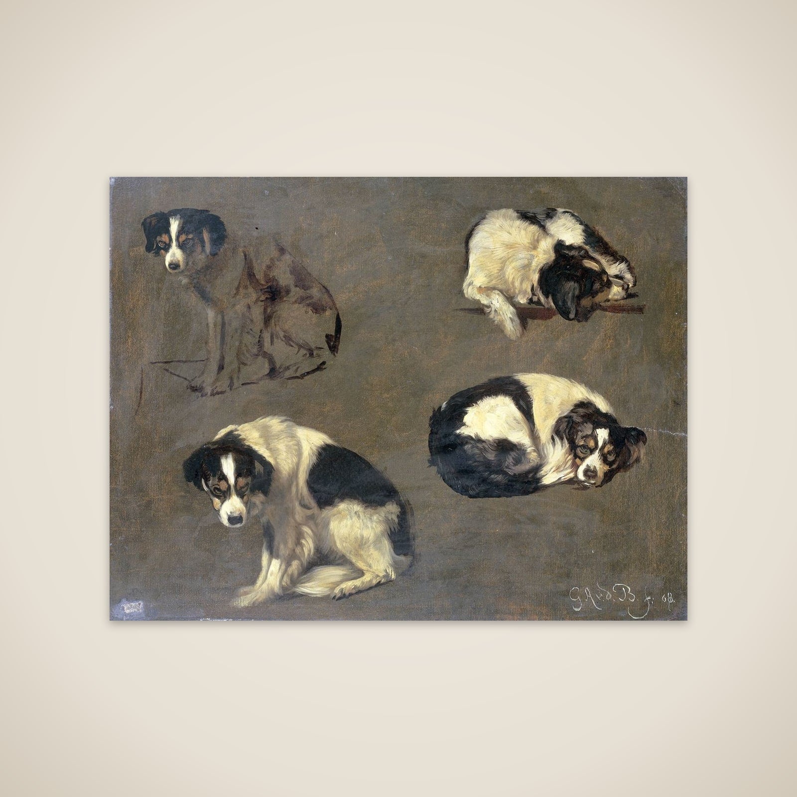 Four Studies of a Dog unframed print