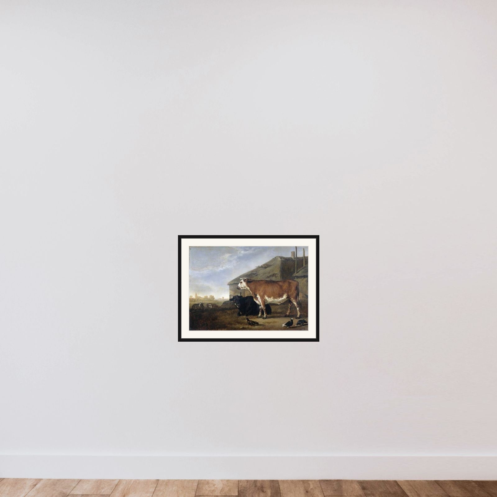 Cattle framed — shown to scale