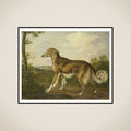 Siberian Greyhound framed