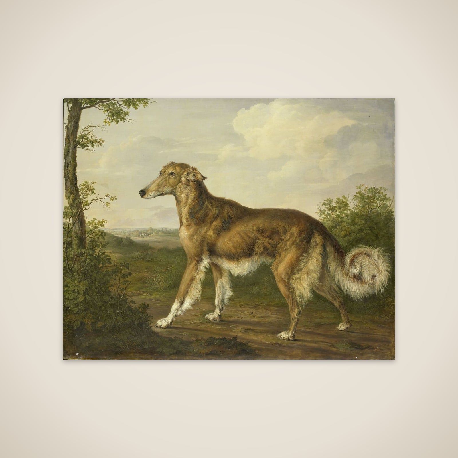 Siberian Greyhound unframed print