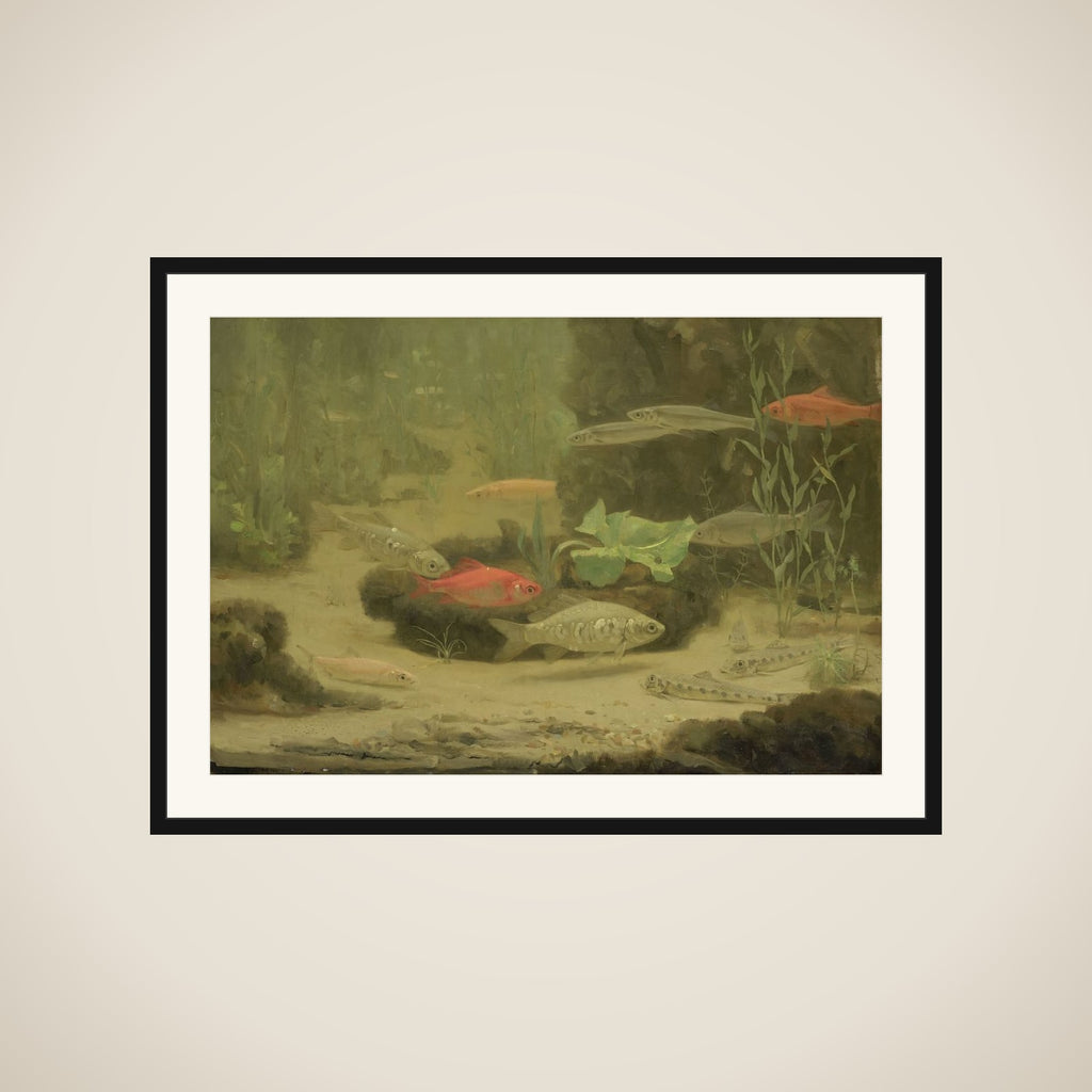Gold- and Silverfish in an Aquarium framed