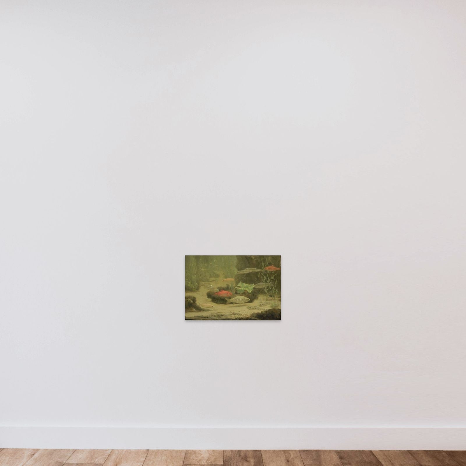 Gold- and Silverfish in an Aquarium unframed — shown to scale