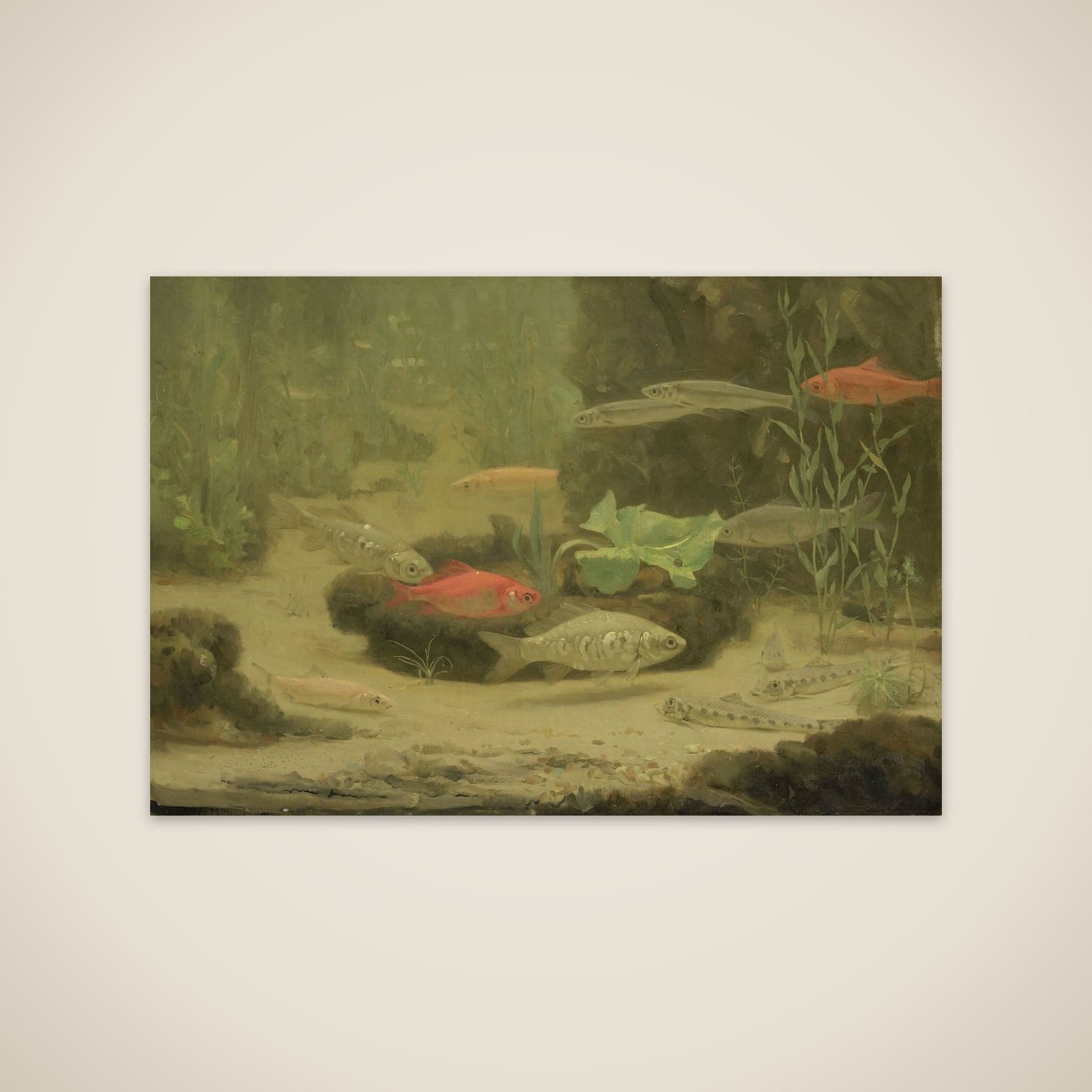 Gold- and Silverfish in an Aquarium unframed print