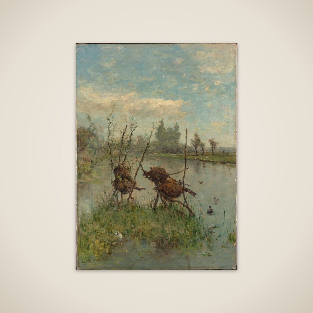 Ducks’ Nests unframed print