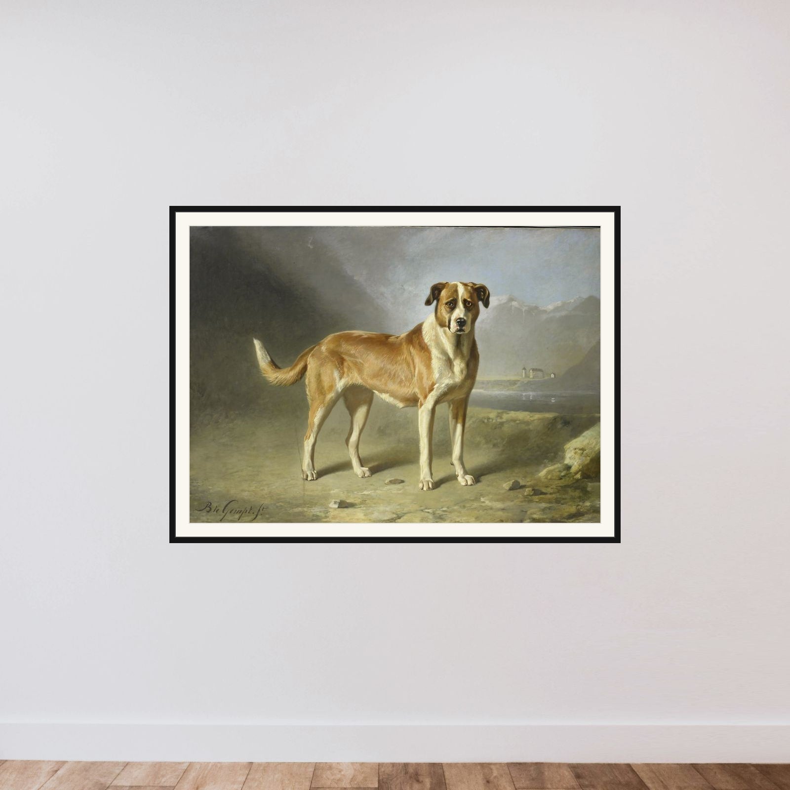 A St Bernard Dog framed — shown to scale