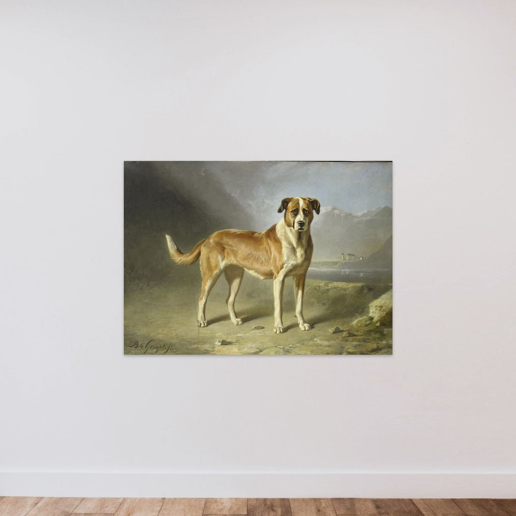 A St Bernard Dog unframed — shown to scale