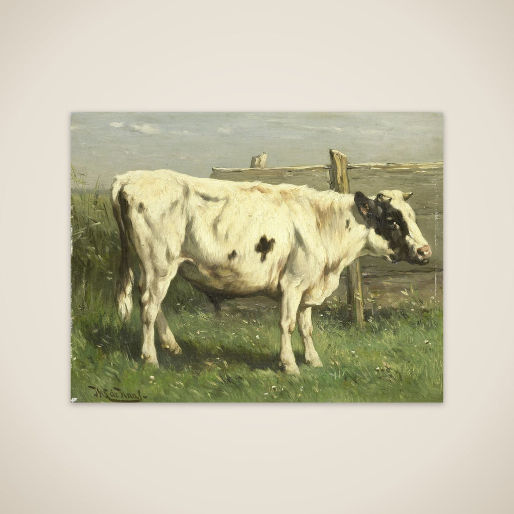 Young Bull unframed print