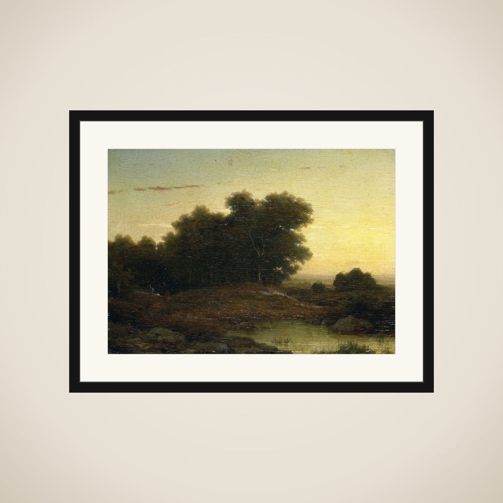 View in the Woods at Sunset framed
