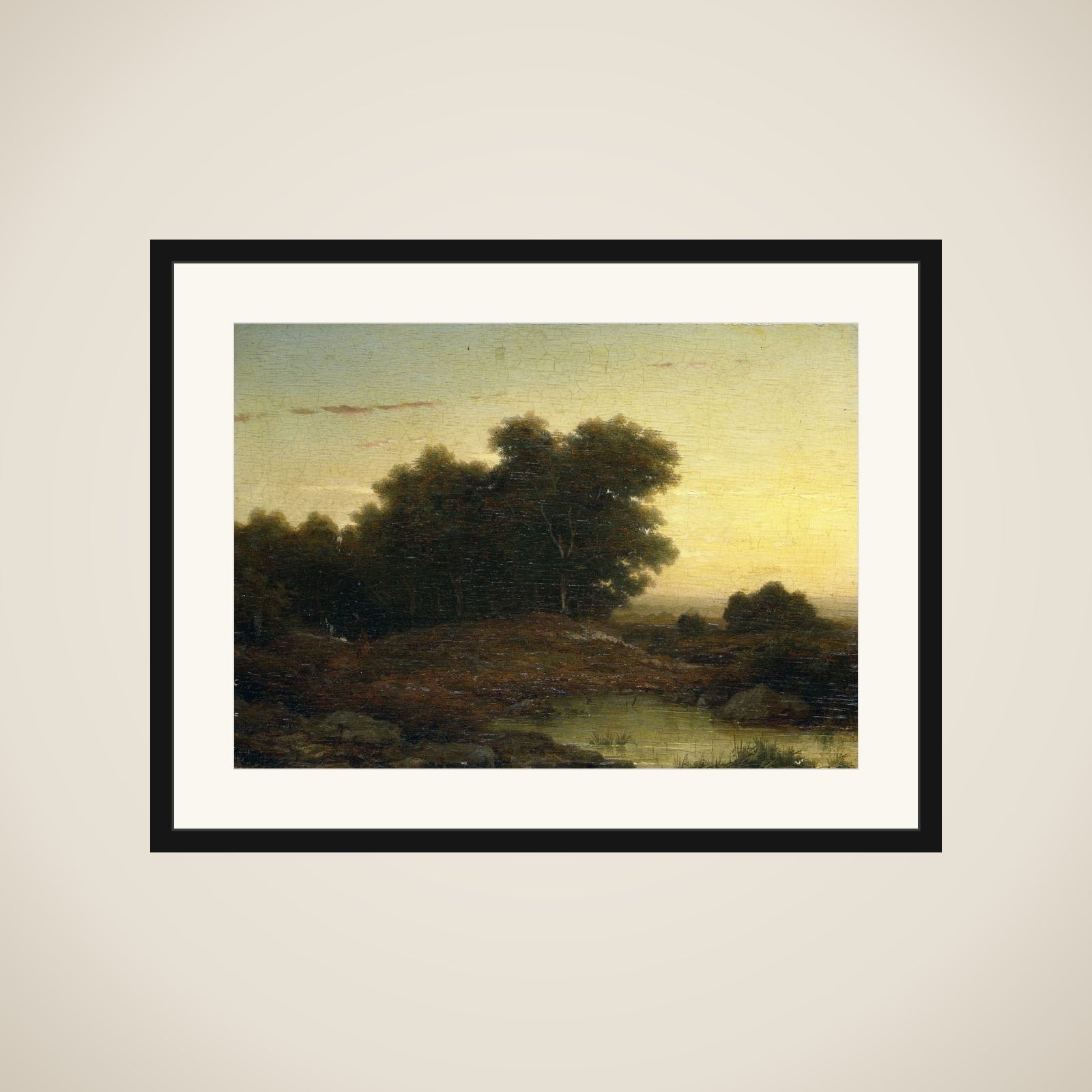 View in the Woods at Sunset framed