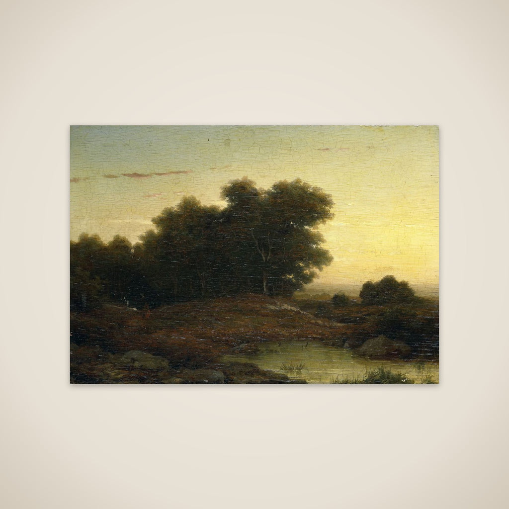 View in the Woods at Sunset unframed print