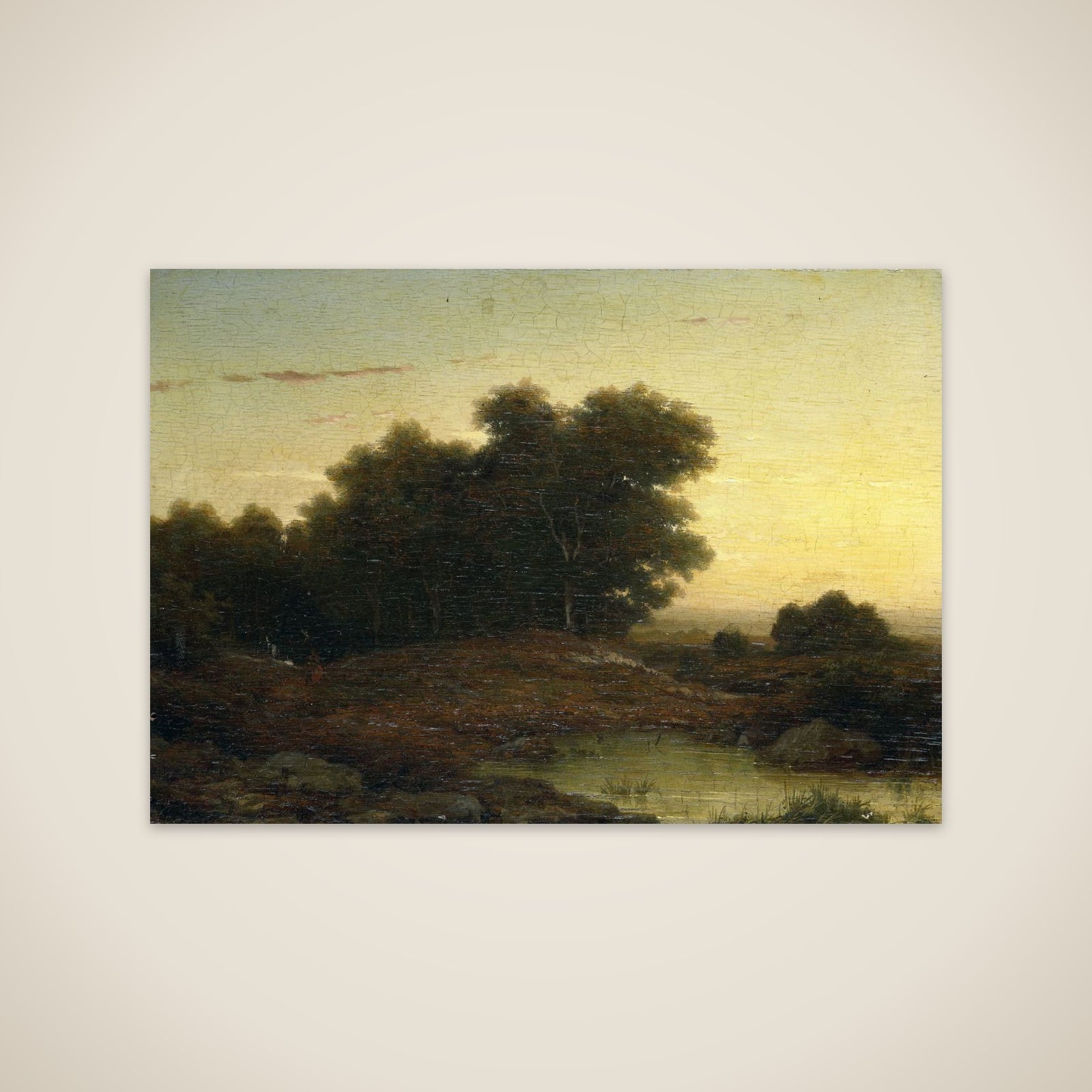 View in the Woods at Sunset unframed print