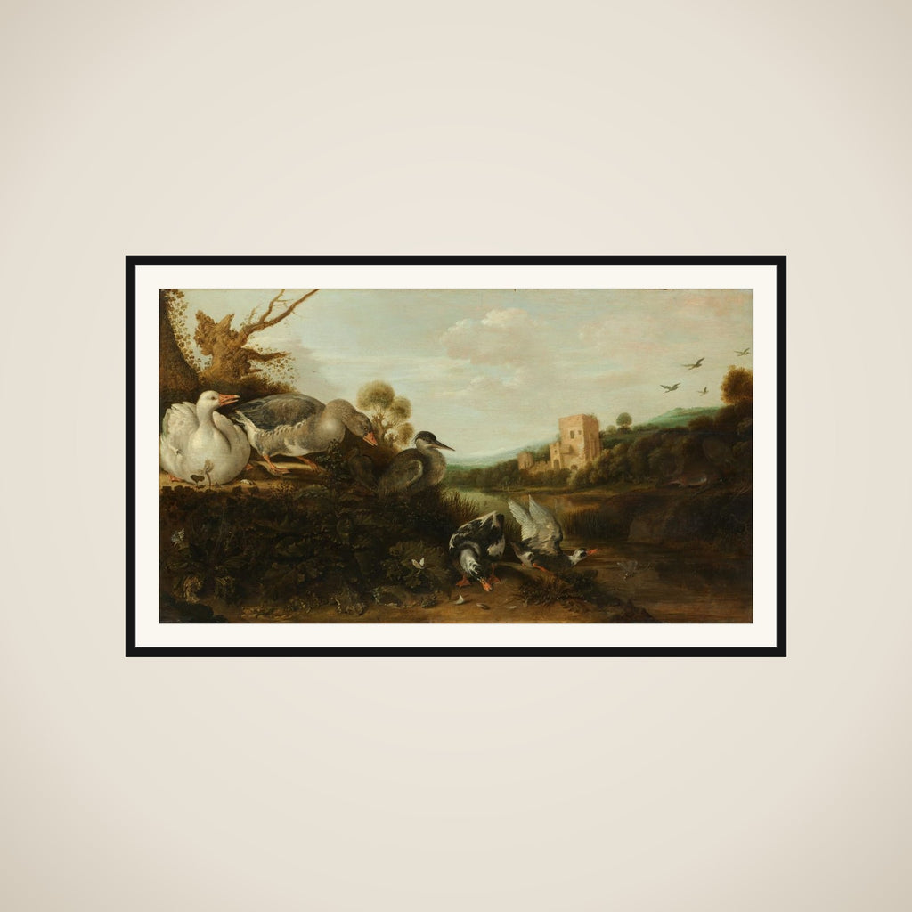Waterfowl framed