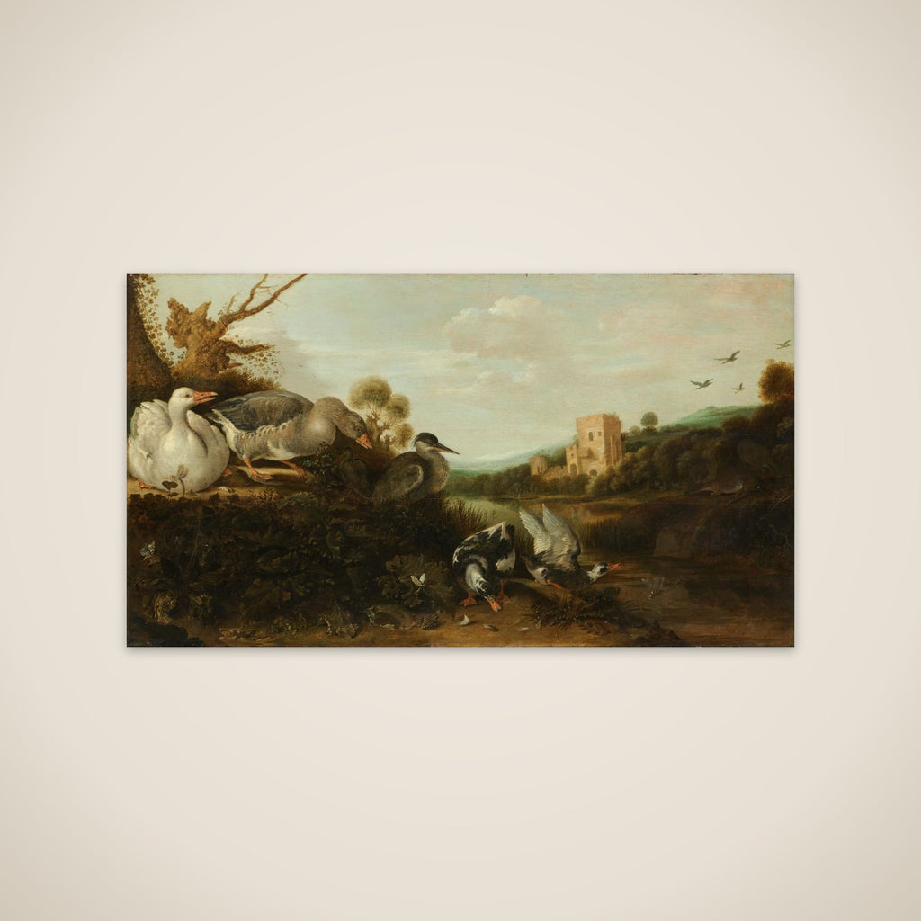 Waterfowl unframed print