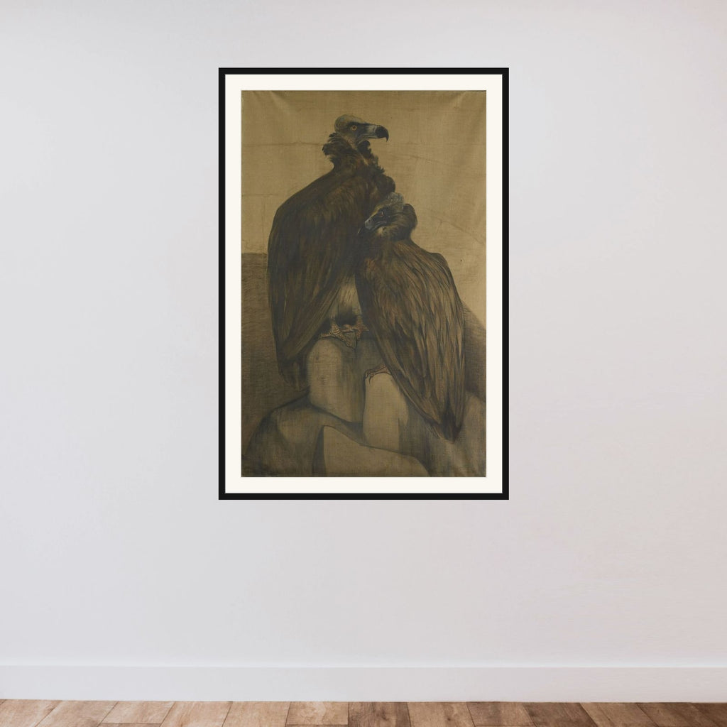 Two Arabian Vultures framed — shown to scale