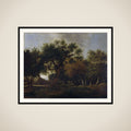 View in the Woods framed
