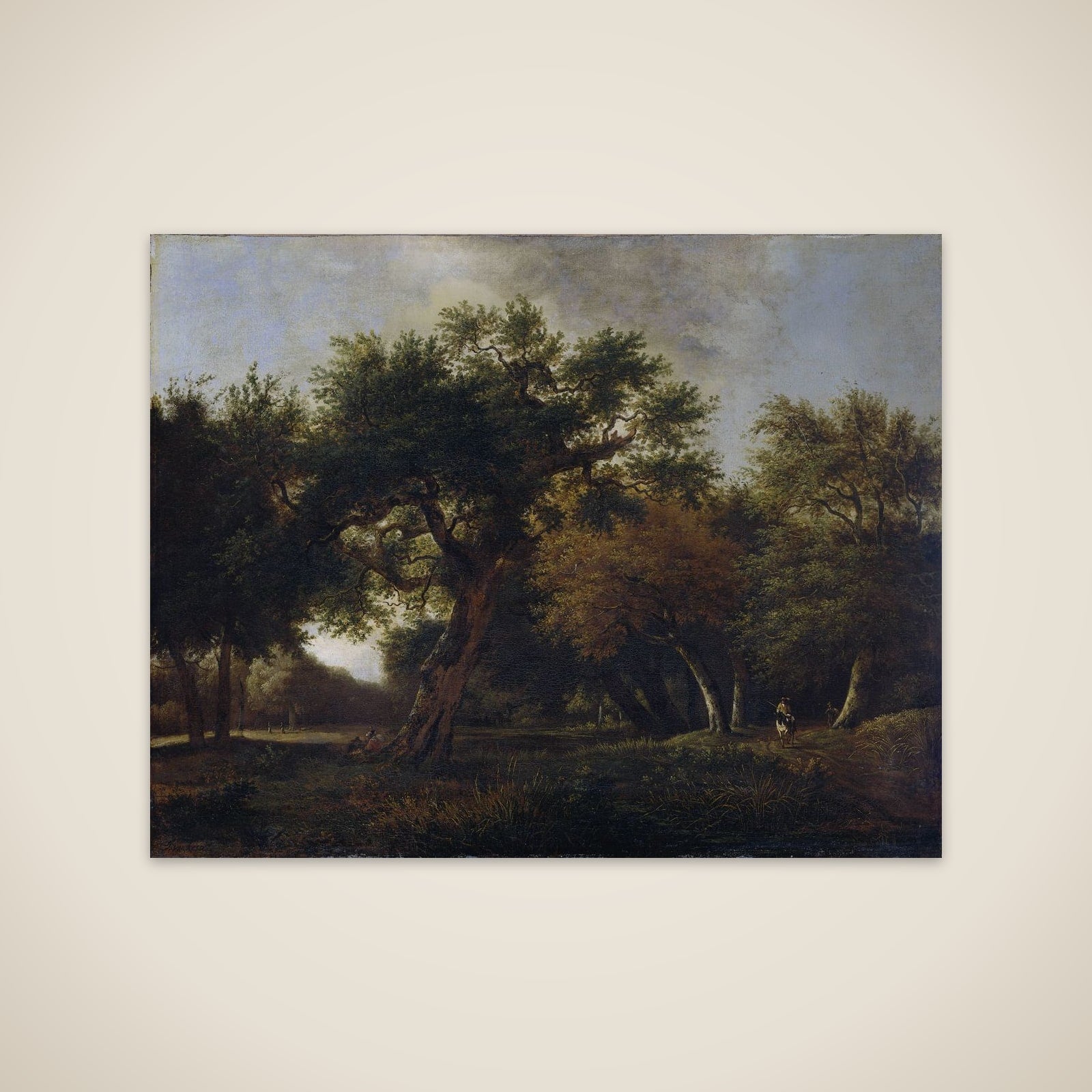View in the Woods unframed print