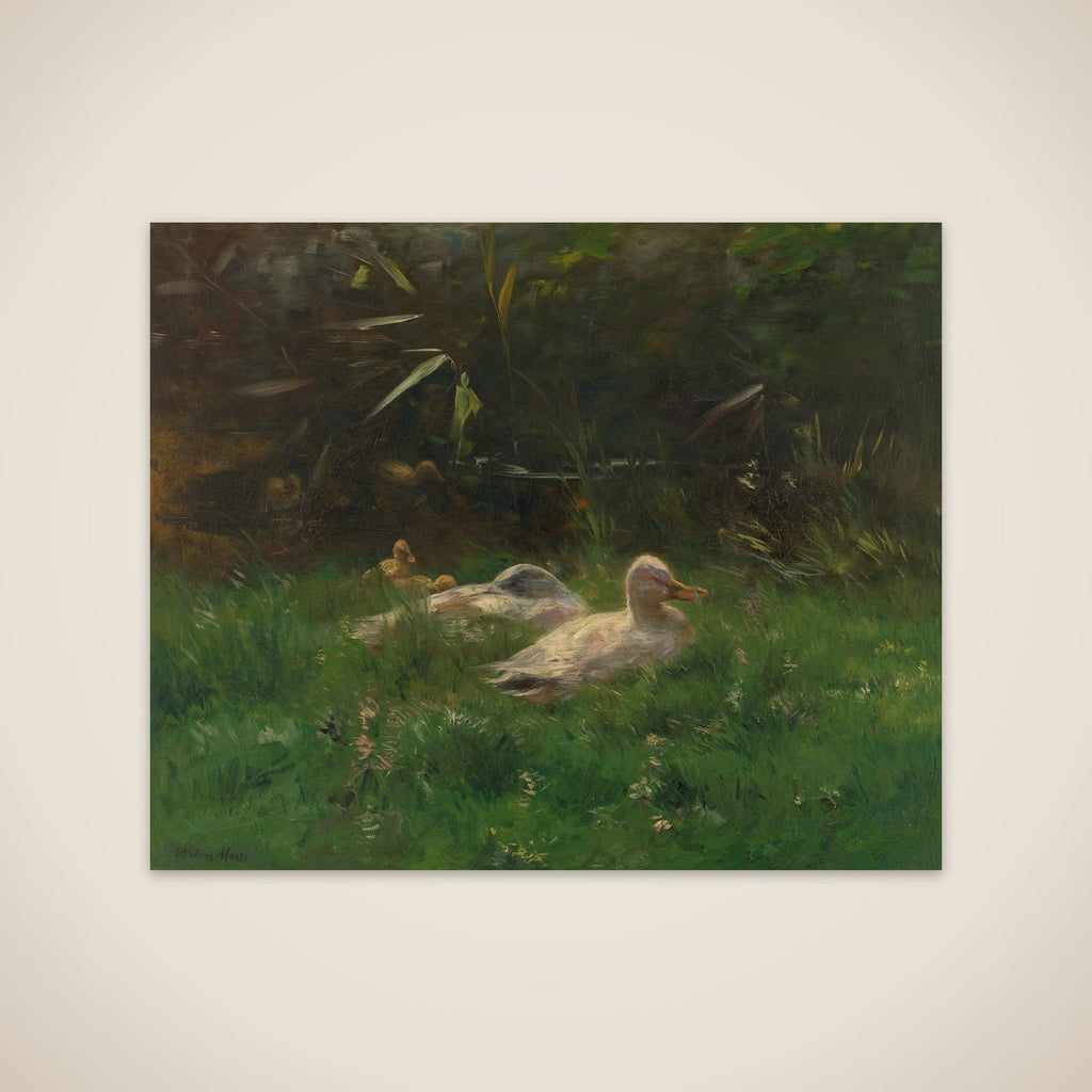 Eenden unframed print