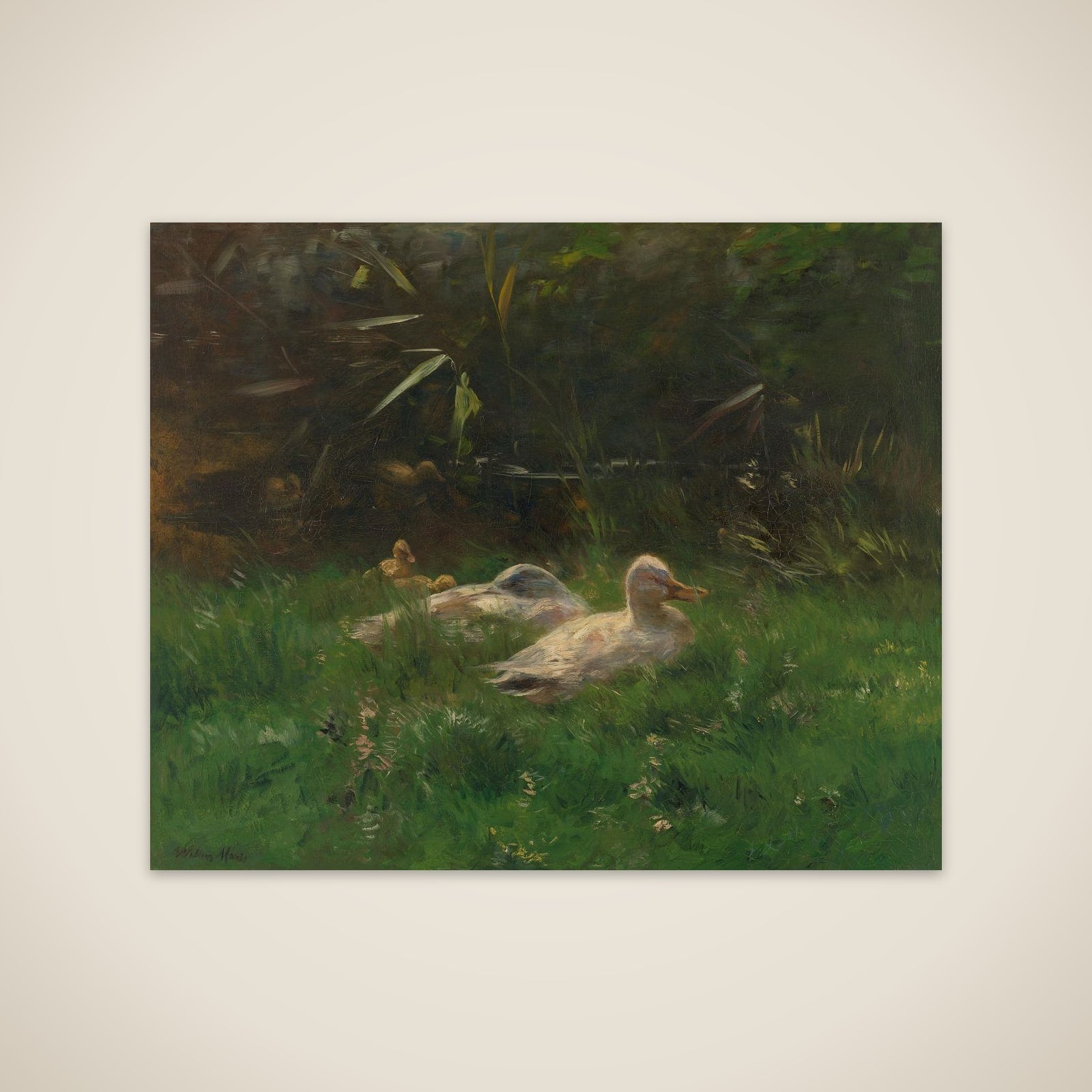 Eenden unframed print